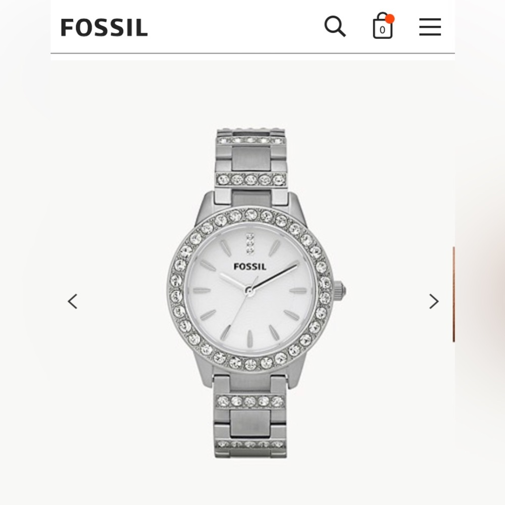 Fossil Jesse Stainless Stainless Steel Watch Lady